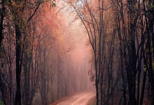 开云体育官网：广东男篮12分力克吉林，胡明轩15+5伯克30+10 琼斯29+17+10被驱逐.