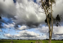 开云体育官网：[乒乓球]世乒联冠军赛重庆站女单1／4决赛：张本美和VS王曼昱 集锦.