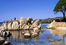 开云体育官网：广东男篮12分力克吉林，胡明轩15+5伯克30+10 琼斯29+17+10被驱逐.